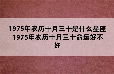 1975年农历十月三十是什么星座 1975年农历十月三十命运好不好